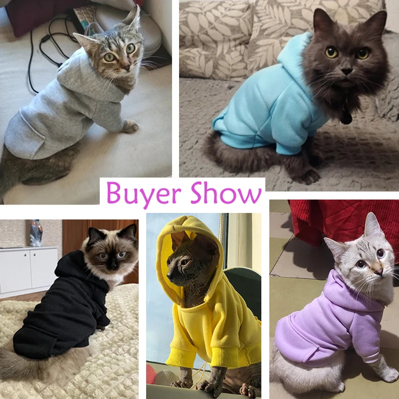 Pet Hoodies: Cat & Dog Solid Coat