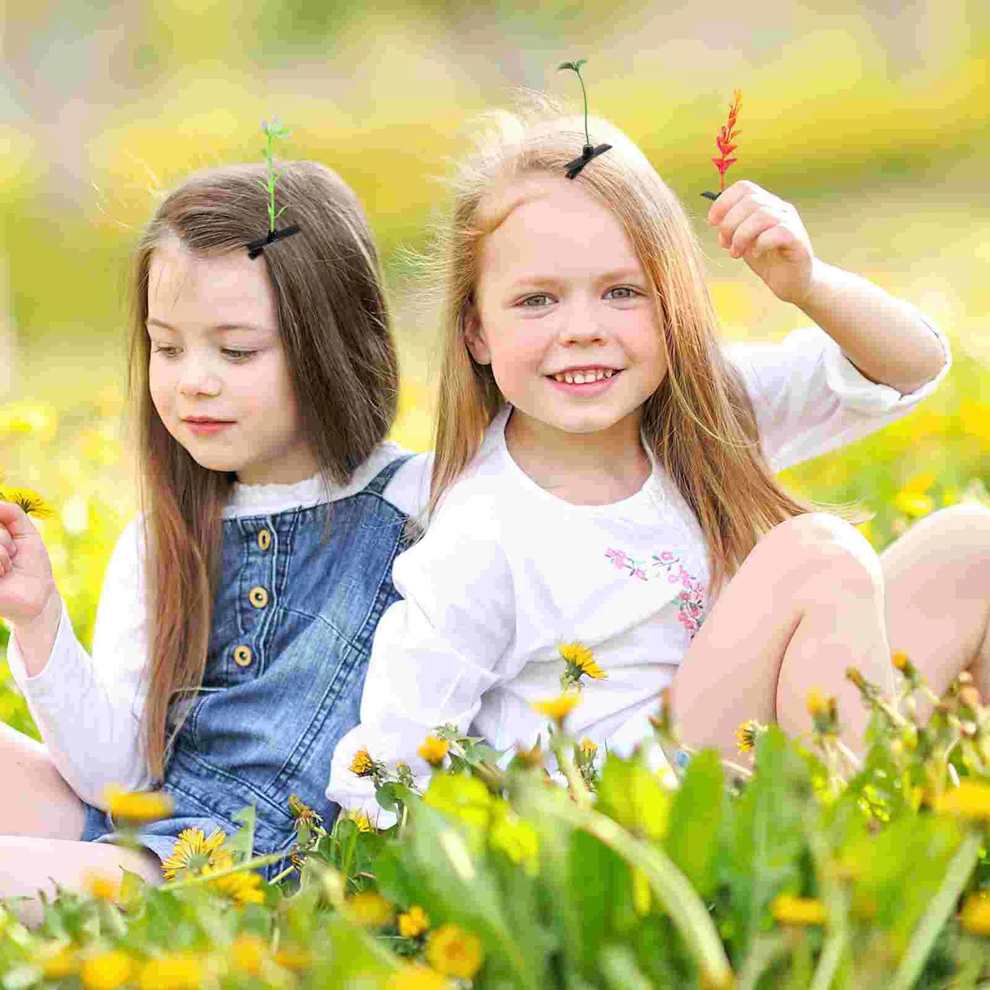 Sdb82d3095ff544928e9f46a280f1229fF